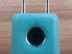 Smart fingerprint lock