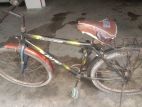 Bicycle for sale