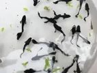 Aquiriam Fish for sell