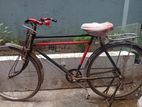 Bicycle for sell