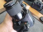 Sony A290 with 2 lens 50 mm prime lend and 18-70 zoom