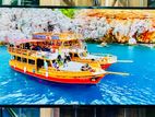 Sony Bravia-43" Inchi Android TV