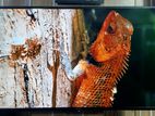 Sony Bravia-43 Inchi Smart TV