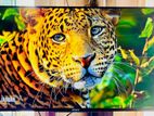 Sony Bravia-43" Inchi Smart TV Original