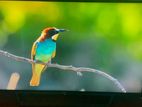 Sony Bravia 48” Smart Tv with X Reality For Sale.