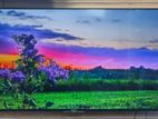 Sony Bravia-55"inch Google Tv