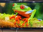 Sony Bravia-60 Inchi Smart TV