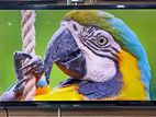 SONY BRAVIA-60-INCHI SMART TV