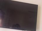 Sony Bravia TV