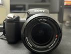 Sony DSC R1