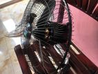 Speed fan for sell combo