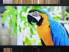 Sony Plus-32-Inchi Smart Android TV