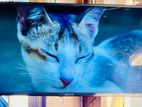 SONY PLUS-40" INCHI SMART TV