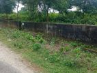 South face 3 katha plot urgent sale in sector:8.Purbachal.