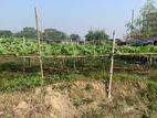 South face Excellent Plot : Sector- 08 || Rajuk Purbachal