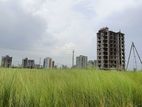 South-facing 3 Katha plot in Bashundhara L Block Available for sale