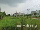 South Facing 4 katha plot Available for sale in L Block Bashundhara R/A