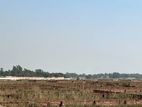 South facing Plot Urgent sell for low price-