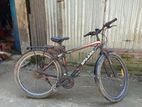 Bicycle for sell