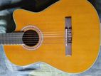 Spanish Classic Guiter
