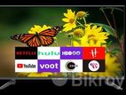 Special Offer 43" 2+16GB RAM VOICE CONTROL ANDROID SMART LED