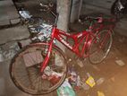Sports Bi -Cycle