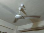 SQ celling fan 56 inch 70watt