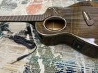 Sqoe Acoustic Guitar