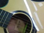 Sqoe Acoustic Guitar