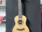 Sqoe brand Ukulele 24 inch on wholesale prise