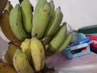 সরাসরি গাছ থেকে পেরে আনা কলা