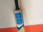 SS cricket practice bat