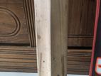 SS Kashmir Willow Cricket Bat