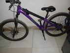 Stand bicycle for sale