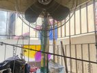 Stand Fan