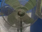 Stand Fan