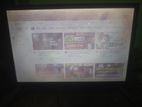 Starex 19" Monitor