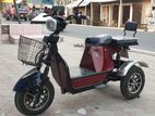 Steel body E Bike 2024