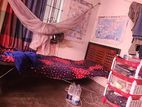 steel single bed urgent sell