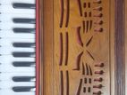 স্ট্রীক ৩৭ ঘাট হারমোনিয়াম/ Harmonium