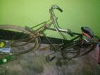 Bicycle for Sell