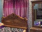 Studio Flat / Small Family Apartment