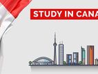 Study in Canada