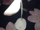 Study Lamp light