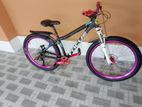 Stunt Cycle