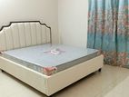 Stylish Modern Bed TCB -E06