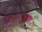 stylish umbrella