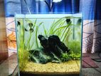 Aquarium sell