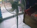 Super Fast Stand Fan