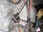 Bicycle for sell